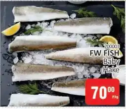 KitKat Cash and Carry FW FISH Baby Hake offer
