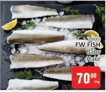 KitKat Cash and Carry FW FISH Baby Hake offer