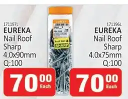 KitKat Cash and Carry EUREKA Nail Roof Sharp 4.0x90mm offer