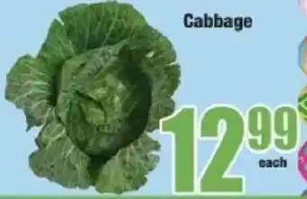 Boxer Cabbage offer