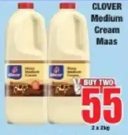 Boxer Clover Medium Cream Maas offer