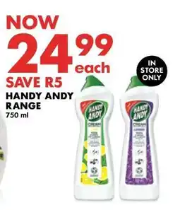 Woolworths Handy Andy Range offer
