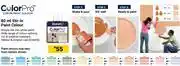 Builders Warehouse Duram 80ml Color Pro Stir In Paint Colour 634455 offer