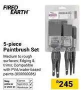 Builders Warehouse Fired Earth 5 Piece Paint Brush Set 850000086 offer