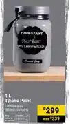 Builders Warehouse Tjhoko Paint 850025949001-1L offer