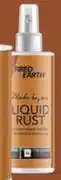 Builders Warehouse Fired Earth 250ml Liquid Rust Agent 396975 offer