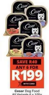 Checkers Cesar Dog Food offer