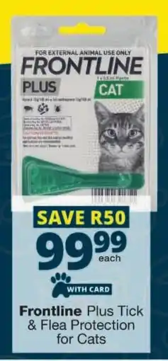 Checkers Frontline Plus Tick & Flea Protection for Cats offer
