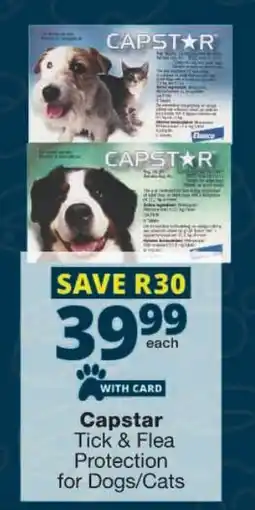 Checkers Capstar Tick & Flea Protection for Dogs/ Cats offer