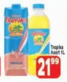 Supa Store Clover Tropika offer