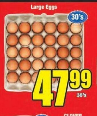 Boxer Large Eggs 30's offer