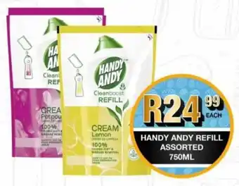 Take 'n Pay Handy andy refill assorted offer