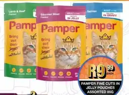 Take 'n Pay Pamper fine cuts in jelly pouches assorted offer