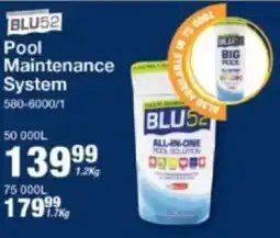 Mica BLU52 Pool Maintenance System offer