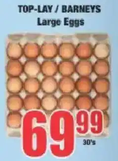 Boxer Top-lay/ Barneys Large Eggs offer