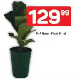 Pick n Pay PnP Green Plant Small offer