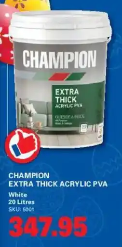 Cashbuild Champion extra thick acrylic pva offer