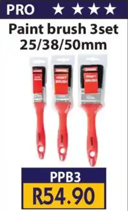 Laduma Hardware catalogue Pro Paint Brush Set offer