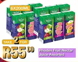 Take 'n Pay Rhodes Fruit Nectar Juice Assorted offer