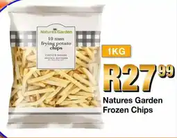 Take 'n Pay Natures Garden Frozen Chips offer