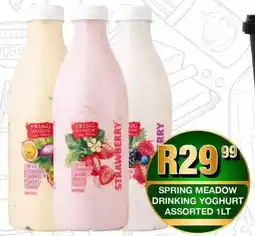 Take 'n Pay Spring meadow drinking yoghurt assorted offer