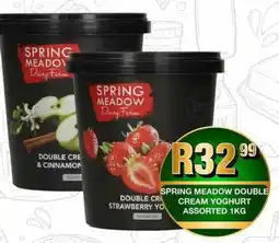 Take 'n Pay Spring meadow double cream yoghurt assorted offer