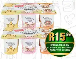Take 'n Pay Spring meadow clever kids yoghurt assorted offer