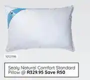 Bradlows Sealy Natural Comfort Standard Pillow offer