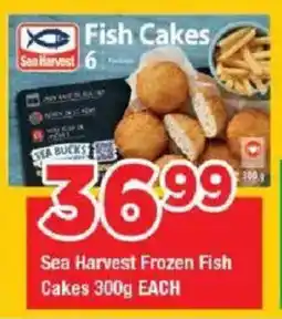 OK Grocer Sea Harvest Frozen Fish Cakes offer