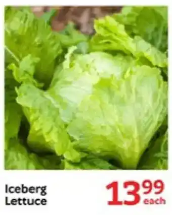 Oxford Freshmarket Iceberg Lettuce offer