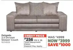 House & Home Delgado 2.5 Division Sleeper Couch offer