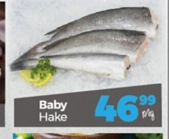 Take 'n Pay Baby Hake per kg offer