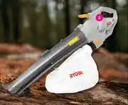 Game Ryobi 3000W Blower Mulching Vacuum offer