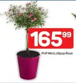 Pick n Pay Hypermarket PnP Mini Lollipop Rose offer