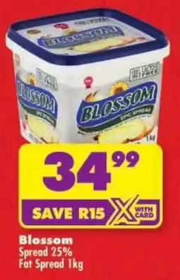 Shoprite Blossom Spread 25% Fat Spread offer