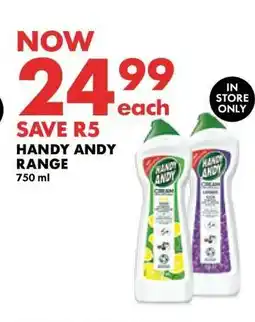 Woolworths Handy Andy Range offer