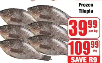 Boxer Frozen Tilapia offer