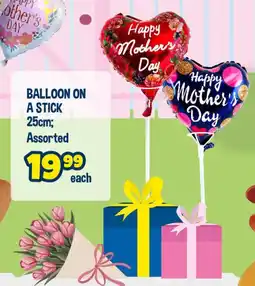 The Crazy Store Balloon on a stick assorted offer
