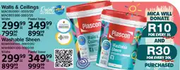 Mica Plascon Washable Sheen offer