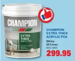 Cashbuild Champion extra thick acrylic pva offer