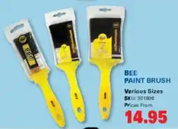 Cashbuild Bee paint brush offer