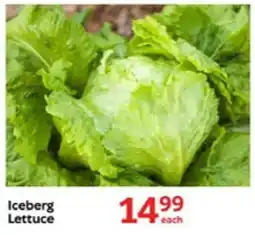 Oxford Freshmarket Iceberg Lettuce offer