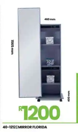 Fair Price Mirror florida offer