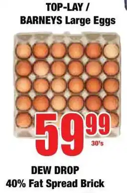 Boxer TOP-LAY / BARNEYS Large Eggs offer