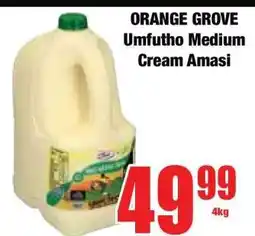 Boxer ORANGE GROVE Umfutho Medium Cream Amasi offer
