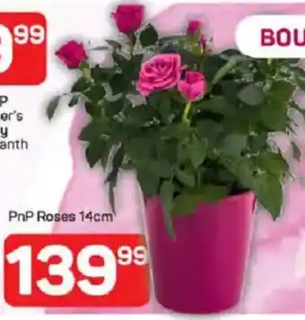 Pick n Pay PnP Roses offer