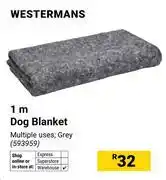Builders Warehouse Westermans 1m Dog Blanket 593959 offer