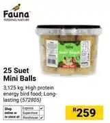 Builders Warehouse Fauna 25 Suet Mini Balls 572805 offer