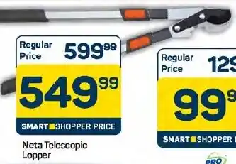 Pick n Pay Hypermarket Neta Telescopic Lopper offer