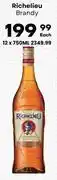 Liquor Junction Richelieu Brandy-750ml offer
